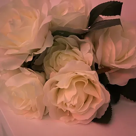 - La Cle Des Secrets - Romantique Nuille-le-Jalais